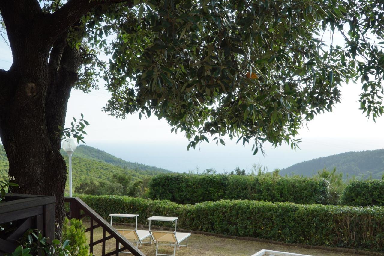 B&B Il Piccolo Paradiso Montenero  Bagian luar foto