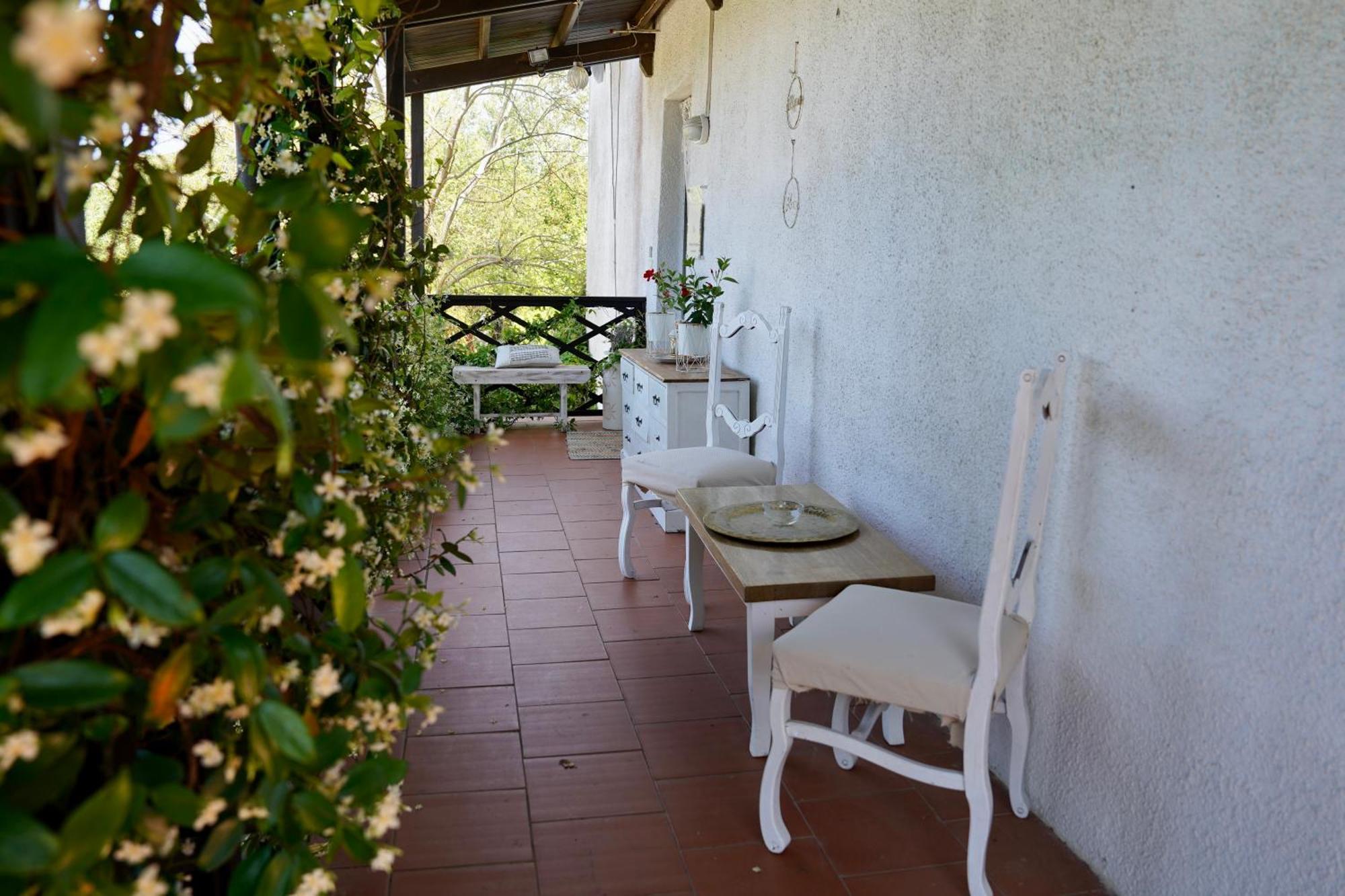 B&B Il Piccolo Paradiso Montenero  Bagian luar foto